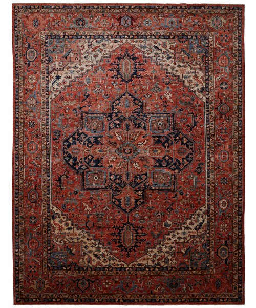 48458 Aryana Pakistani